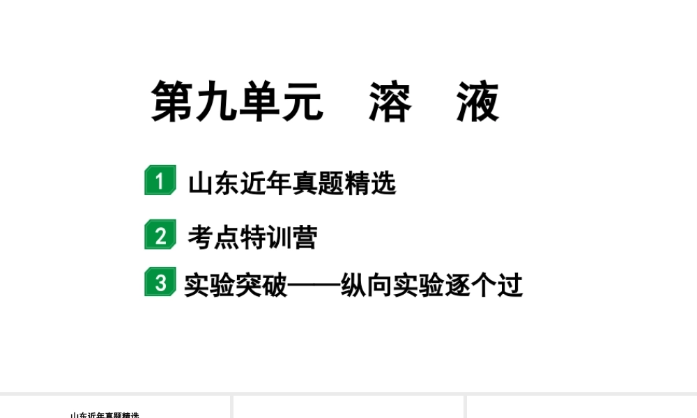 2024山东中考化学一轮复习 中考考点研究 第九单元 溶液(课件).pptx