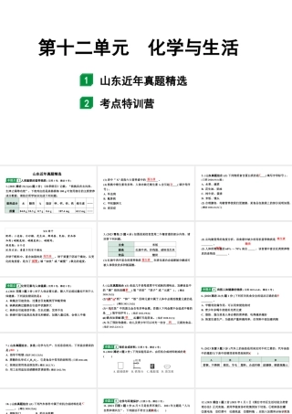 2024山东中考化学一轮复习 中考考点研究 第十二单元  化学与生活（课件）.pptx