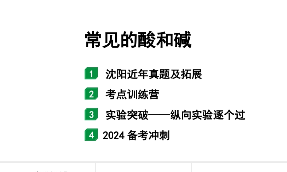 2024沈阳中考化学二轮专题突破 常见的酸和碱(课件).pptx