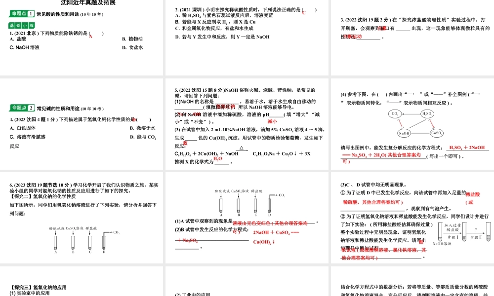 2024沈阳中考化学二轮专题突破 常见的酸和碱(课件).pptx