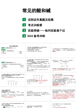 2024沈阳中考化学二轮专题突破 常见的酸和碱（课件）.pptx