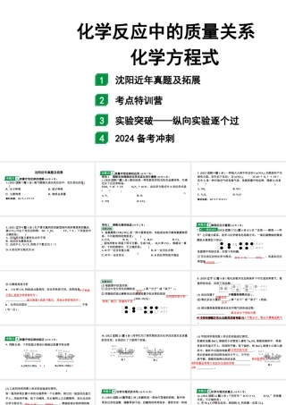 2024沈阳中考化学二轮专题突破 化学反应中的质量关系  化学方程式（课件）.pptx