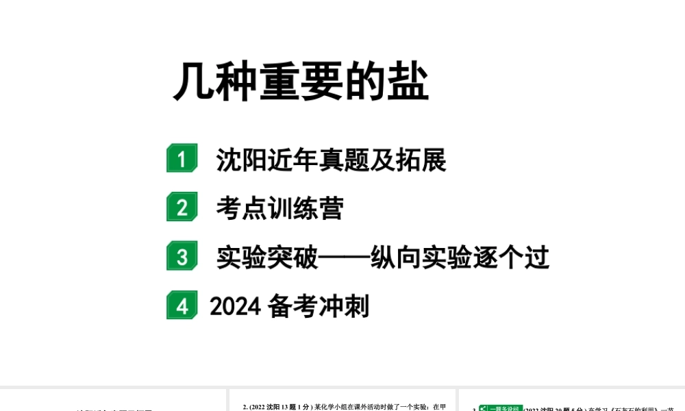 2024沈阳中考化学二轮专题突破 几种重要的盐(课件).pptx