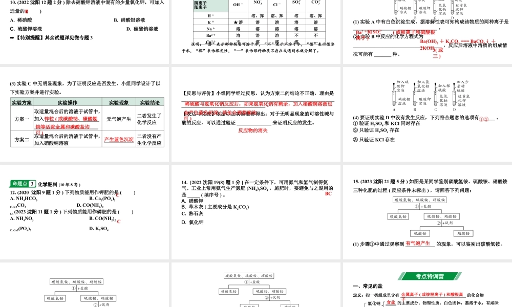 2024沈阳中考化学二轮专题突破 几种重要的盐(课件).pptx