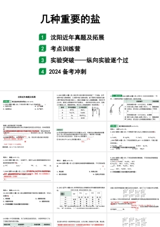 2024沈阳中考化学二轮专题突破 几种重要的盐（课件）.pptx