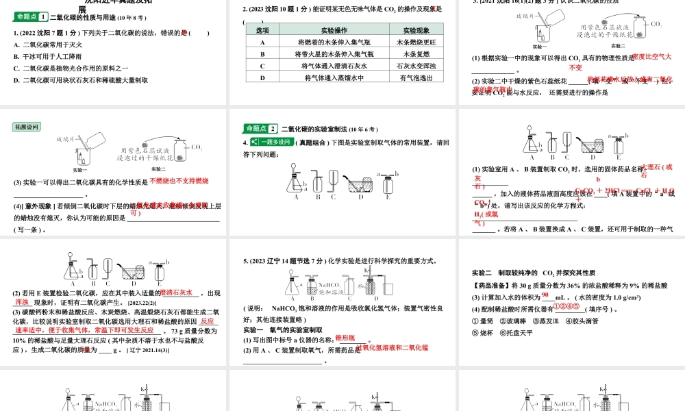 2024沈阳中考化学二轮专题突破 奇妙的二氧化碳（课件）.pptx