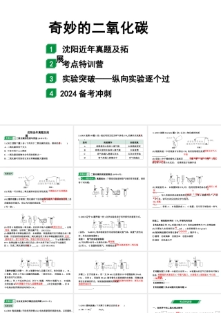 2024沈阳中考化学二轮专题突破 奇妙的二氧化碳（课件）.pptx