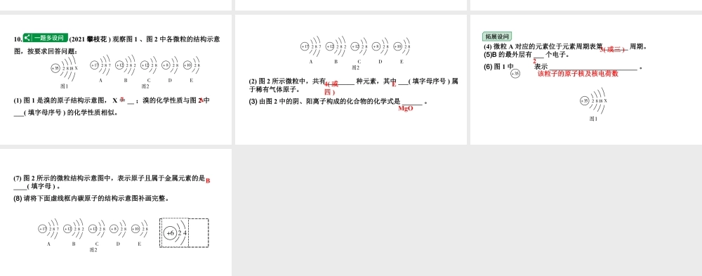 2024沈阳中考化学二轮专题突破 微专题 构成物质的基本微粒(课件).pptx