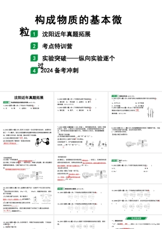 2024沈阳中考化学二轮专题突破 微专题 构成物质的基本微粒（课件）.pptx