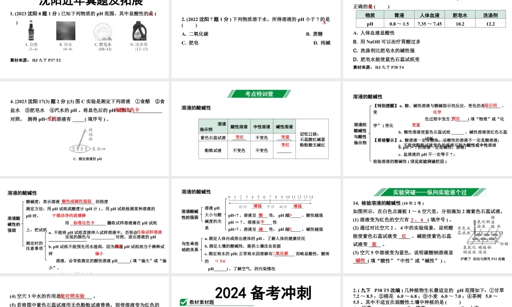 2024沈阳中考化学二轮专题突破 微专题 溶液的酸碱性(课件).pptx