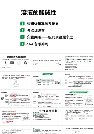 2024沈阳中考化学二轮专题突破 微专题 溶液的酸碱性（课件）.pptx