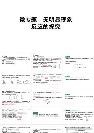 2024沈阳中考化学二轮专题突破 微专题 无明显现象反应的探究（课件）.pptx