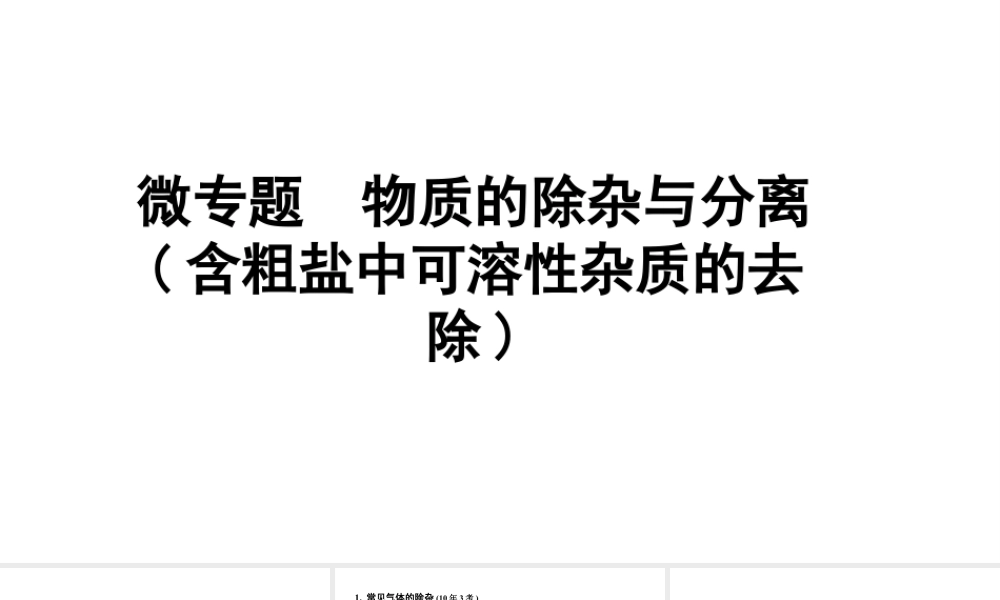 2024沈阳中考化学二轮专题突破 微专题 物质的除杂与分离(含粗盐中可溶性杂质的去除)(课件).pptx