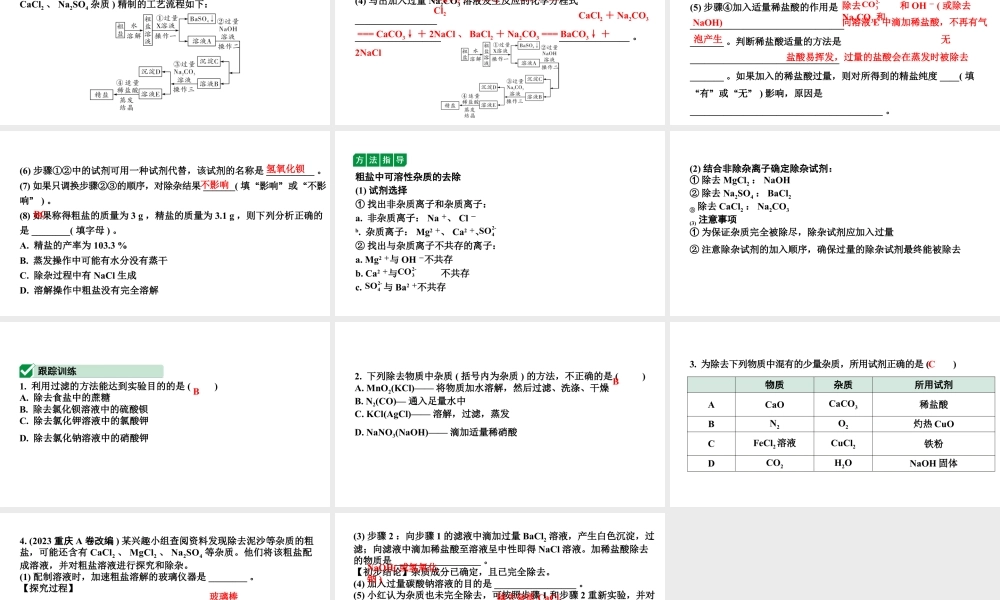 2024沈阳中考化学二轮专题突破 微专题 物质的除杂与分离(含粗盐中可溶性杂质的去除)(课件).pptx