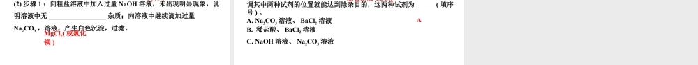 2024沈阳中考化学二轮专题突破 微专题 物质的除杂与分离(含粗盐中可溶性杂质的去除)(课件).pptx
