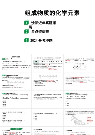 2024沈阳中考化学二轮专题突破 组成物质的化学元素（课件）.pptx