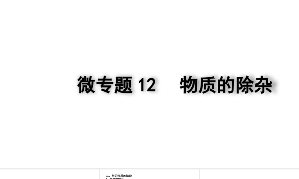 2024四川中考化学二轮复习 微专题12 物质的除杂(课件).pptx