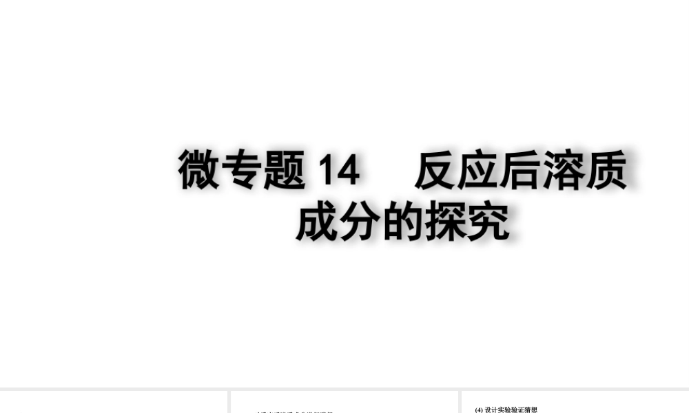 2024四川中考化学二轮复习 微专题14 反应后溶质成分的探究(课件).pptx