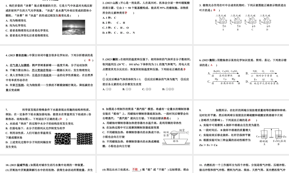 2024四川中考化学二轮复习 专题九 全国视野 推荐题型(课件).pptx