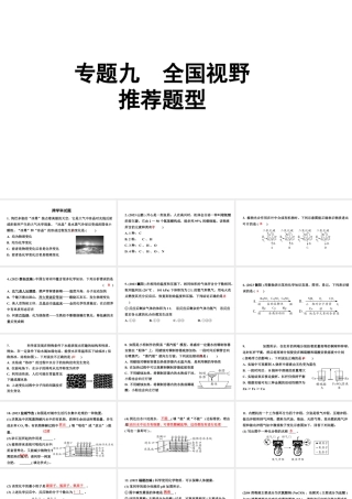 2024四川中考化学二轮复习 专题九 全国视野　推荐题型（课件）.pptx