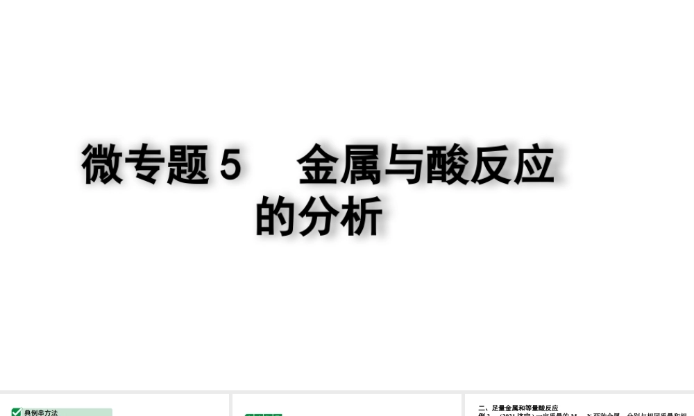 2024四川中考化学二轮复习微专题5 金属与酸反应的分析 (课件).pptx