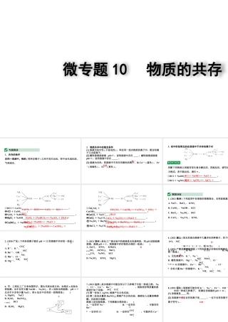 2024四川中考化学二轮复习微专题10 物质的共存（课件）.pptx