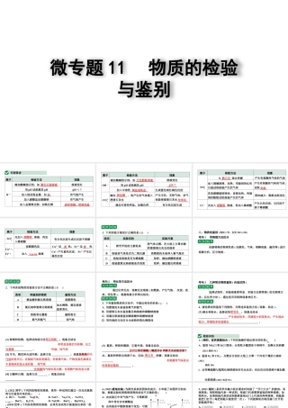 2024四川中考化学二轮复习微专题11 物质的检验与鉴别（课件）.pptx