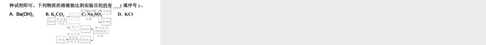 2024四川中考化学二轮复习微专题13 粗盐中可溶性杂质的去除 (课件).pptx