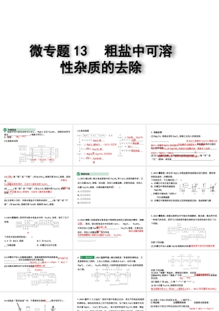 2024四川中考化学二轮复习微专题13 粗盐中可溶性杂质的去除 （课件）.pptx