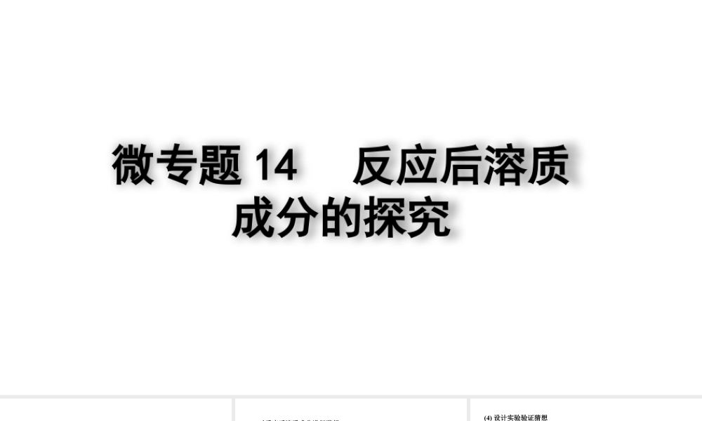 2024四川中考化学二轮复习微专题14 反应后溶质成分的探究(课件).pptx