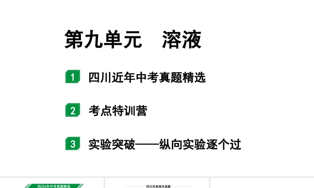 2024四川中考化学一轮复习 第九单元 溶液(课件).pptx