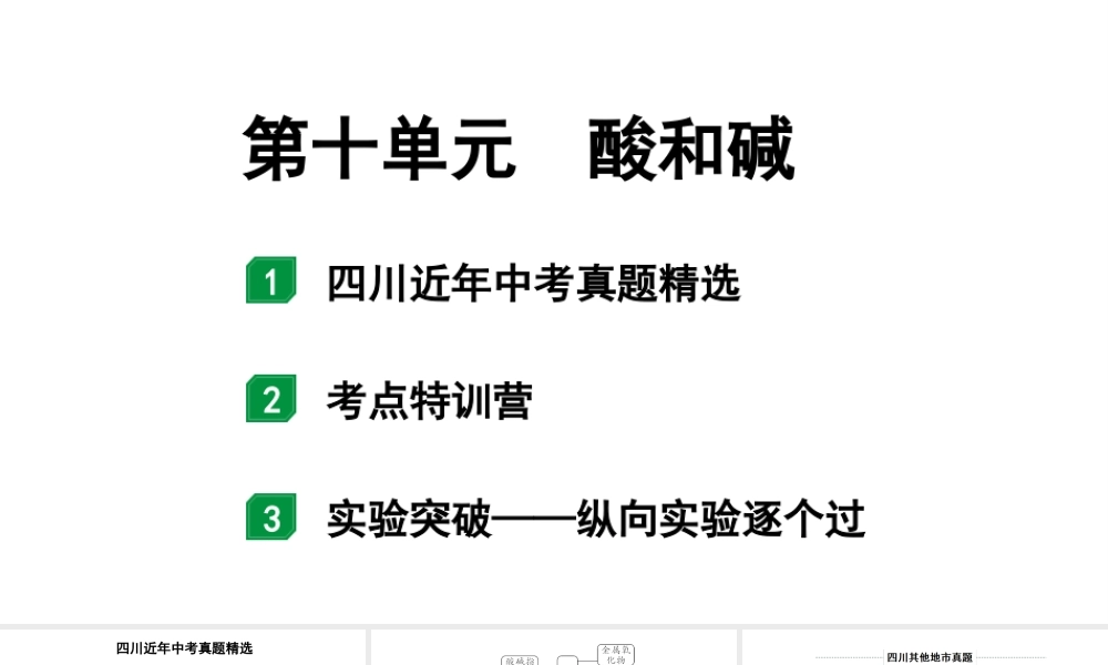 2024四川中考化学一轮复习 第十单元 酸和碱(课件).pptx