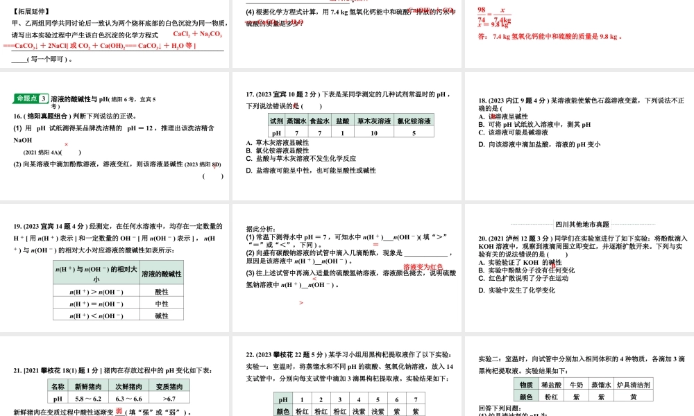 2024四川中考化学一轮复习 第十单元 酸和碱(课件).pptx