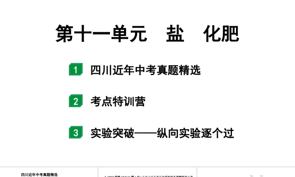 2024四川中考化学一轮复习 第十一单元 盐 化肥(课件).pptx