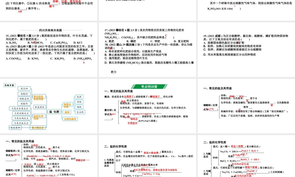 2024四川中考化学一轮复习 第十一单元 盐 化肥(课件).pptx