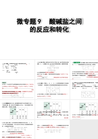 2024四川中考化学一轮复习 微专题9 酸碱盐之间的反应和转化（课件）.pptx
