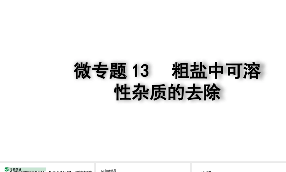 2024四川中考化学一轮复习 微专题13 粗盐中可溶性杂质的去除(课件).pptx