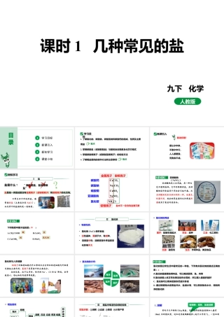人教版九下化学 第十一单元 课时1 几种常见的盐 课件.pptx