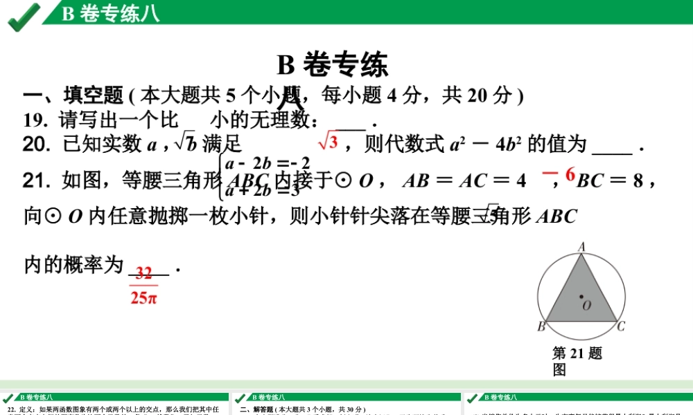 2024成都中考数学B卷专项强化训练08.B卷专练八课件.pptx