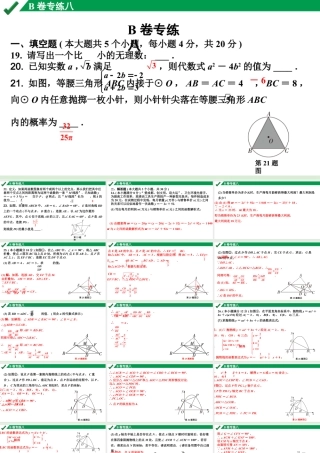 2024成都中考数学B卷专项强化训练08.B卷专练八课件.pptx