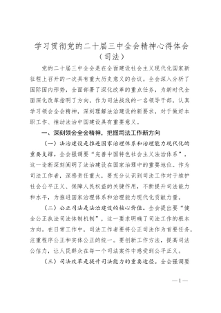 学习贯彻党的二十届三中全会精神心得体会（司法）.docx