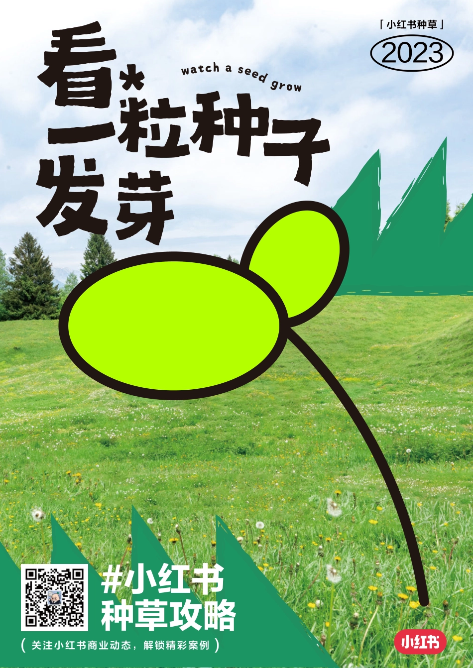 看一粒种子发芽.pdf_第1页