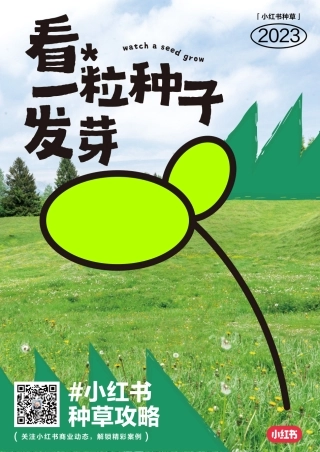 看一粒种子发芽.pdf